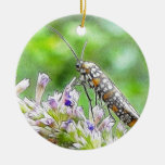Pretty Spotted Ermine Moth on Agastache Christmas Ornaments