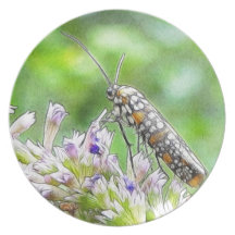 Pretty Spotted Ermine Moth on Agastache Party Plate