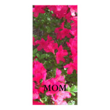 pretty spring flowers rack cards