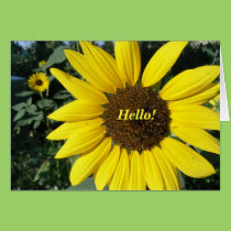 Pretty Sunflower cards
