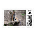 Pretty tiger stamp
