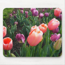 Pretty Tulips mousepads