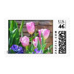 Pretty Tulips Stamp stamps