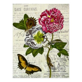Pretty Vintage Collage Post Card