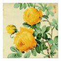 Pretty Vintage Yellow Roses Square Crop print