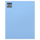 Pretty Western Bluebird letterhead