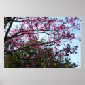 Pretty When Pink posters