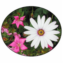 Pretty White and pink flowers. Oval. Photo Sculpture