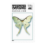 Pretty White Butterfly Postage