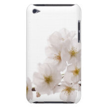 Pretty White Cherry Blossoms iPod Touch Case