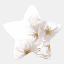 Pretty White Cherry Blossoms Stickers