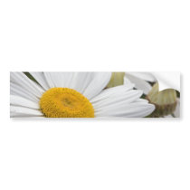 Pretty White Daisies Bumper Sticker