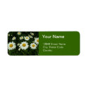 pretty white daisy flowers address label