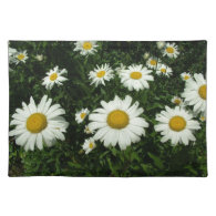pretty white daisy flowers. place mat