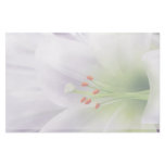 Pretty White Easter Lily Stationery