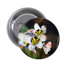 Pretty white flower faces pinback button