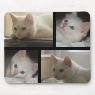 Pretty White Kitty Collage Mousepad mousepad