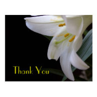 Pretty white lily flower wedding thank you post card