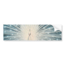 Pretty White Peacock Bumper Sticker