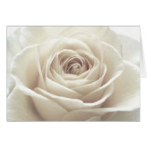 Pretty White Rose cards by CreativelyCME Pretty White Rose cards