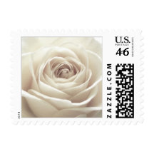 Pretty White Rose Stamp