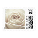 Pretty White Rose Stamp