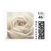 Pretty White Rose Stamp by CreativelyCME Pretty White Rose Stamp