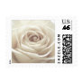 Pretty White Rose Stamp