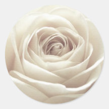 Pretty White Rose Sticker