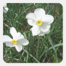 Pretty White Spring Flowers CricketDiane Sticker