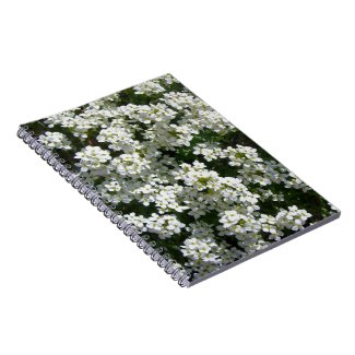 Pretty White Spring Flowers Photo Spiral Notebook notebook