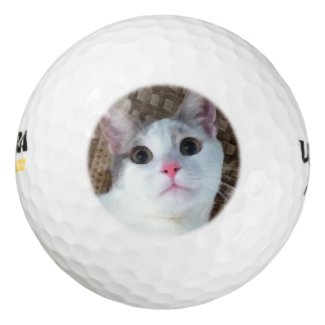 Pretty White Surprised Kitty Cat Pack Of Golf Balls