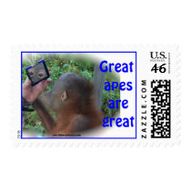 Pretty Wildlife Baby: Face in Mirror Postage Stamp