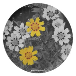 Pretty Yellow Flower Plate