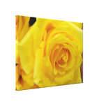 pretty yellow rose flower stretched canvas prints