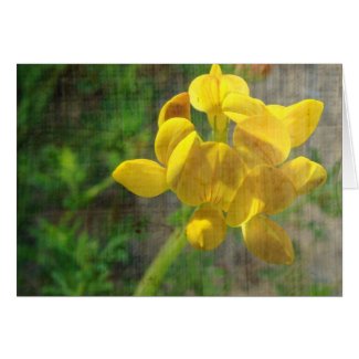 Pretty Yellow Weed card