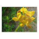 Pretty Yellow Weed cards