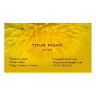Pretty yellow wild flower dandelion business cards