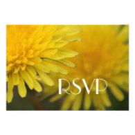 Pretty yellow wild flower dandelion wedding RSVP Custom Invitations