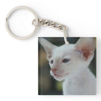 Pretty Young White Kitty Cat Single-Sided Square Acrylic Keychain