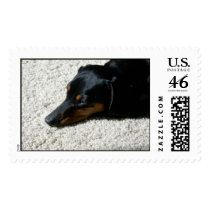 Pretzel snoozing postage