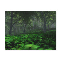 Prevailing Forest Postcard