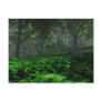 Prevailing Forest Postcard