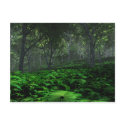 Prevailing Forest Postcard