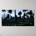 Prevailing Jungle - Extreme posters