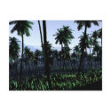 Prevailing Jungle Postcard