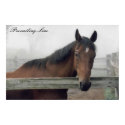 Prevailing Line Print by SecondChanceRanch Prevailing Line Print
