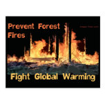 Prevent Forest Fires and Fight Global Warming Postcards