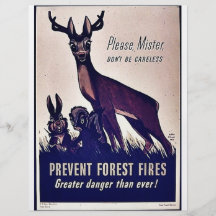 Prevent Forest Fires Custom Flyer
