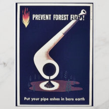 Prevent Forest Fires Custom Flyer